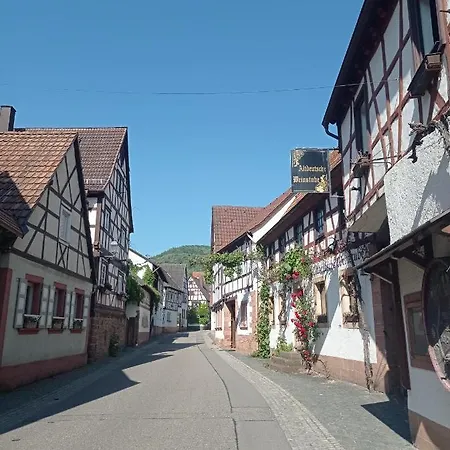 Lejlighed Gaestehaus Hoffmann *